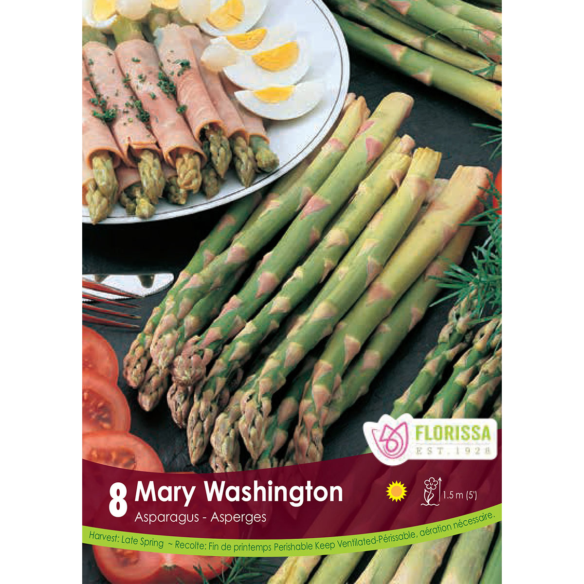 Asparagus 'Mary Washington' Roots
