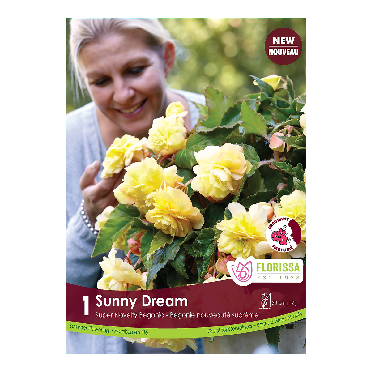 Begonia_Novelty_SunnyDream.jpg