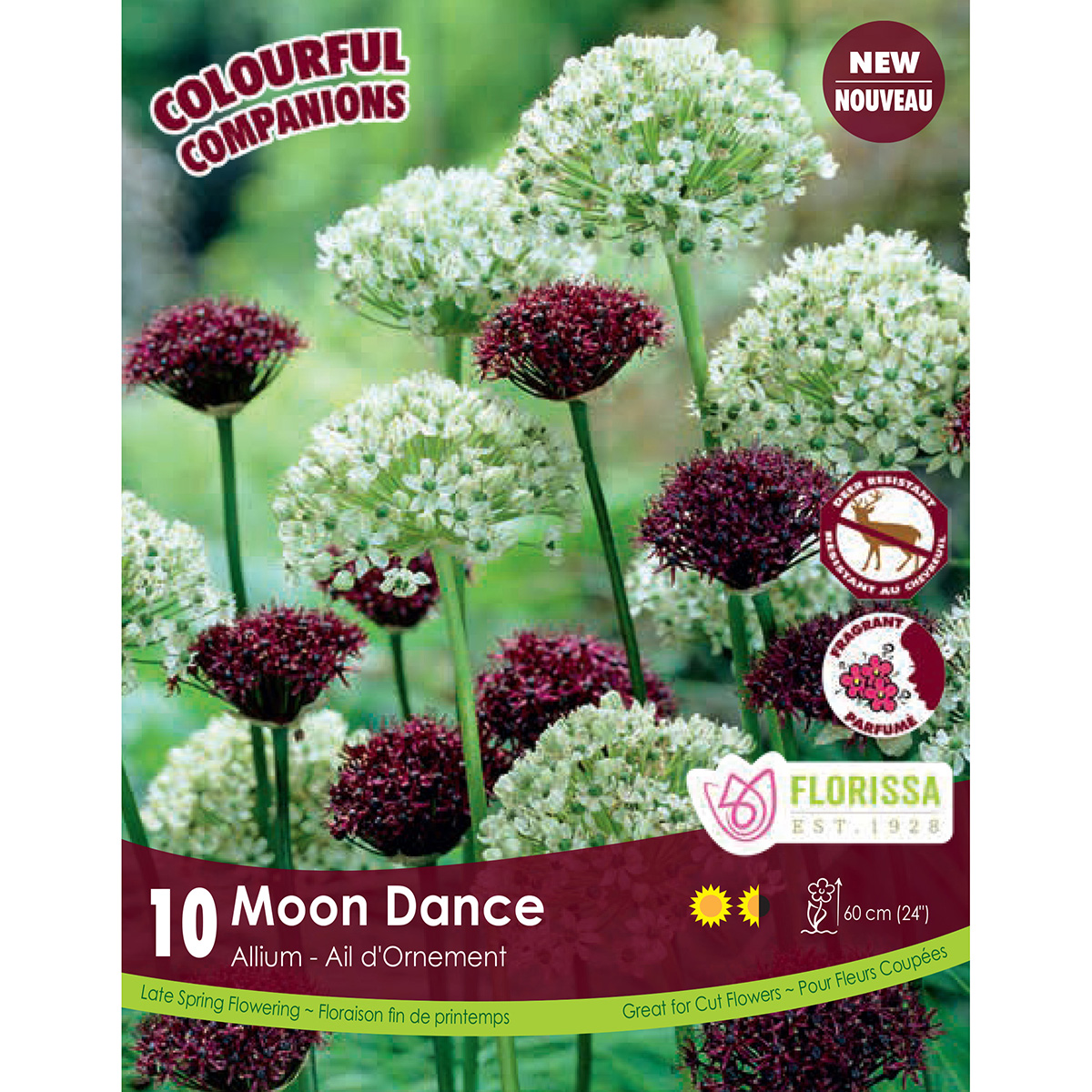 new-2018-colourful-companions-moon-dance-bulbs-grow-to-be-an-elegant