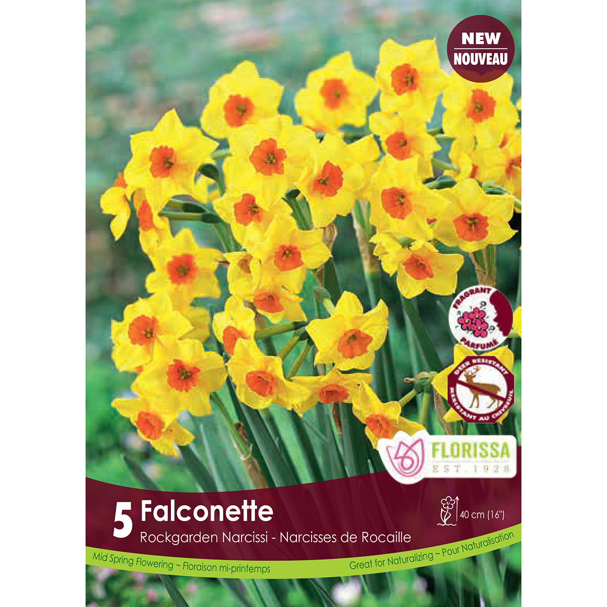 Narcissus 'Falconette Tops' Bulbs 5PK