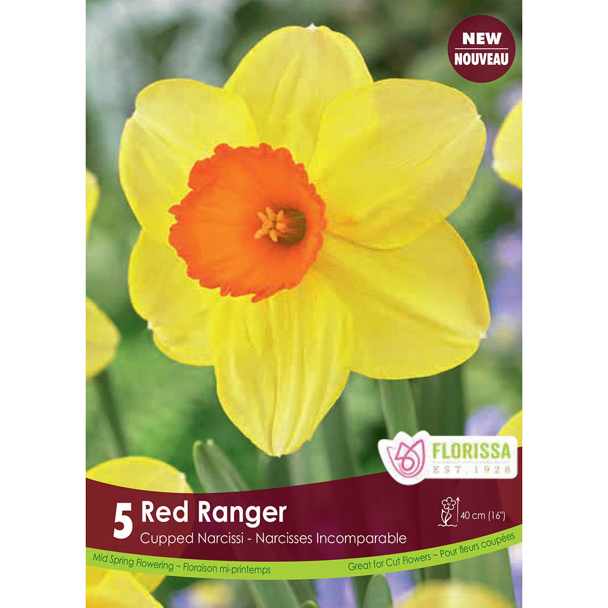 Narcissus 'Red Ranger' Bulbs 5Pk | Daffodil Bulbs | Arts Nursery Garden ...