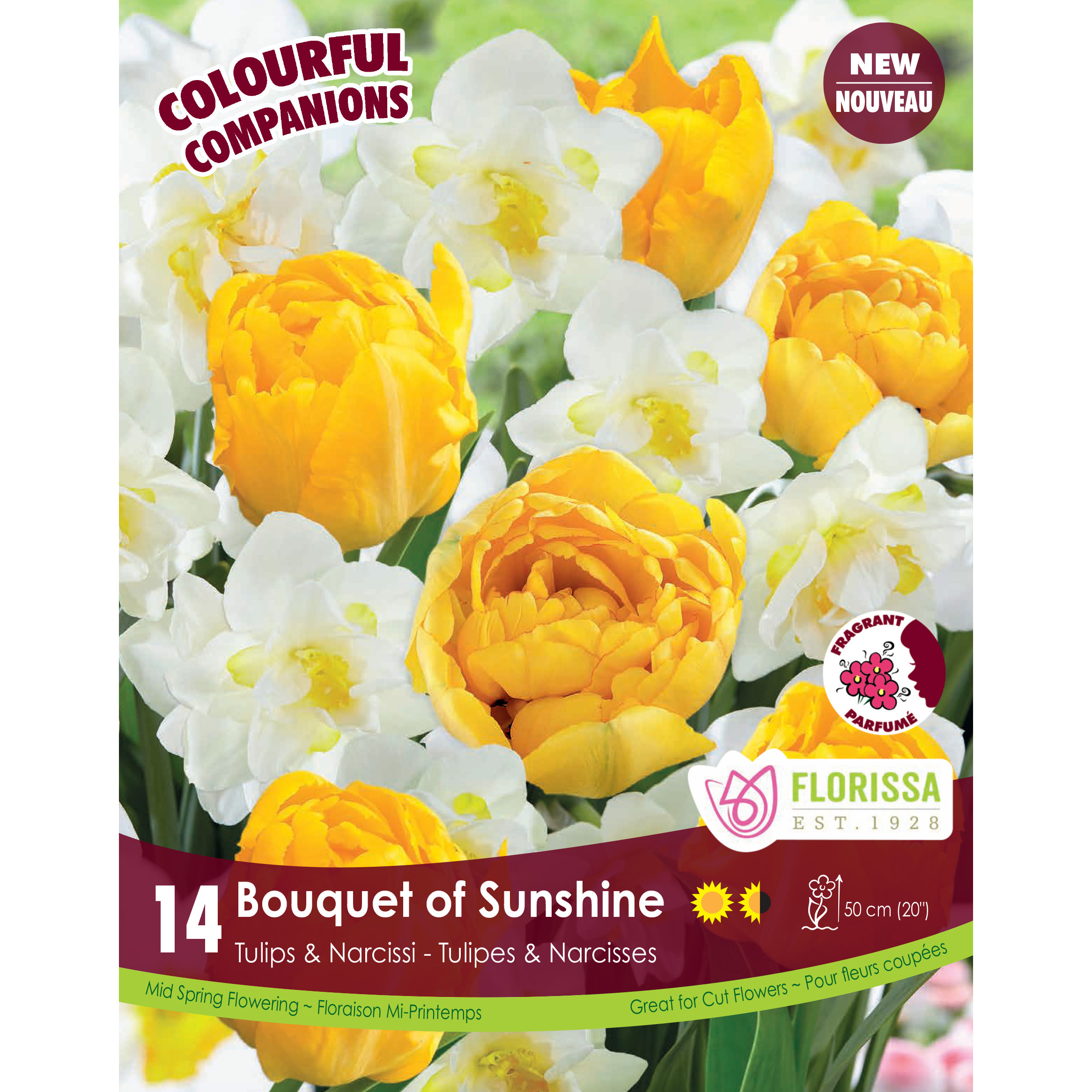 Colorful Companions 'Bouquet of Sunshine' 14PK   