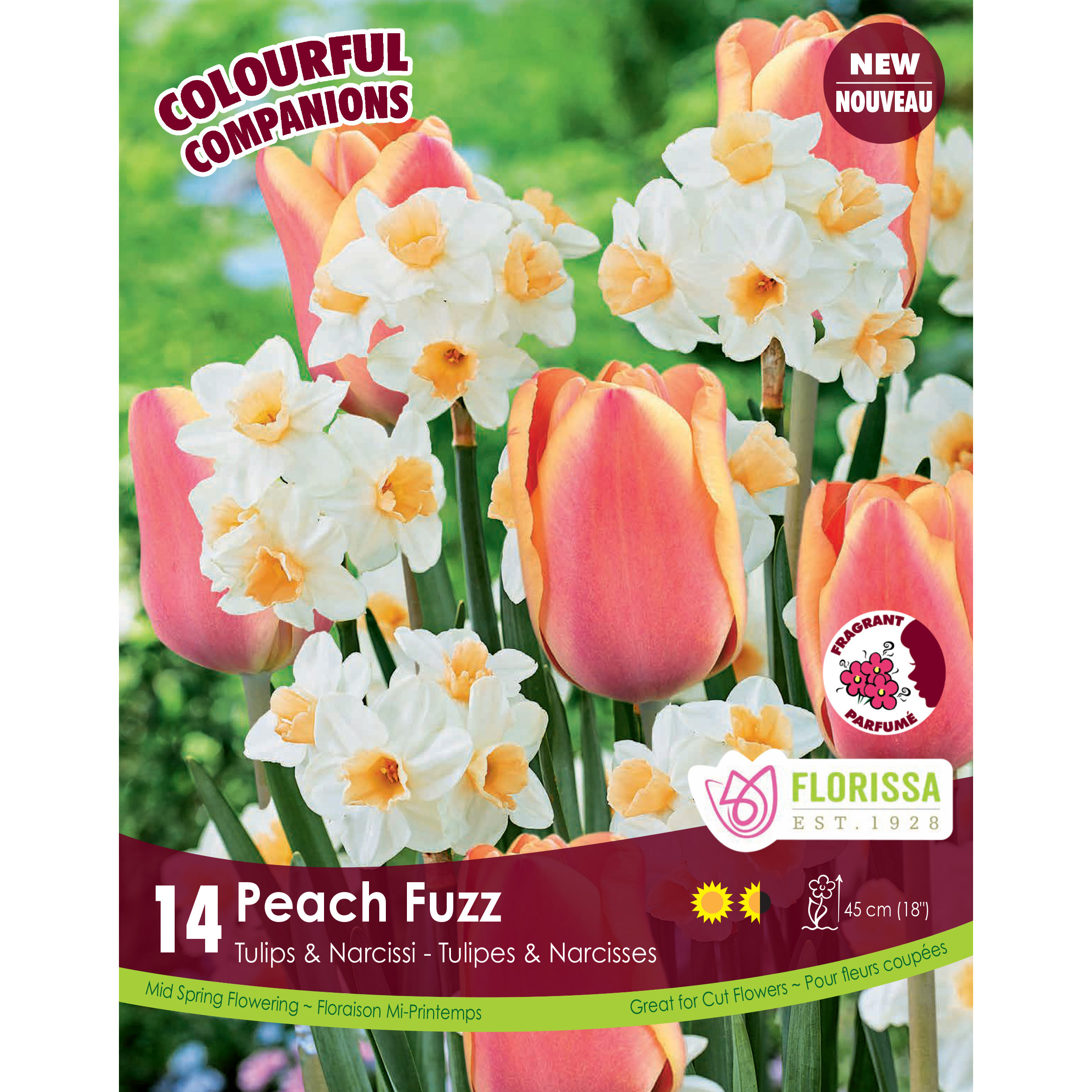 Colorful Companions 'Peach Fuzz' Bulbs 14PK    