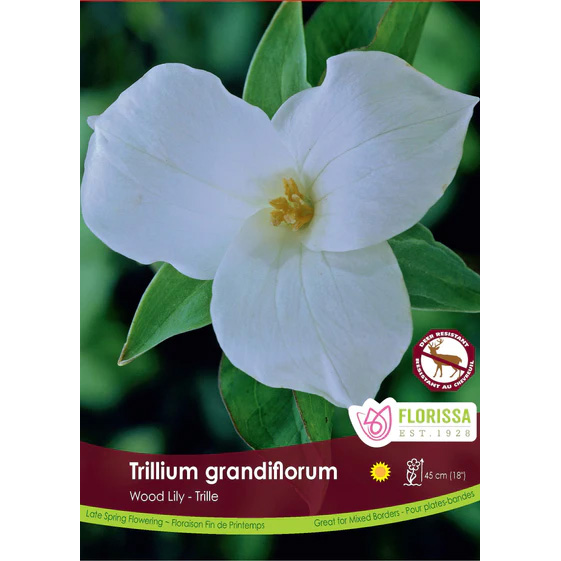 LGKepTrilliumgrandiflorum_400x.jpg