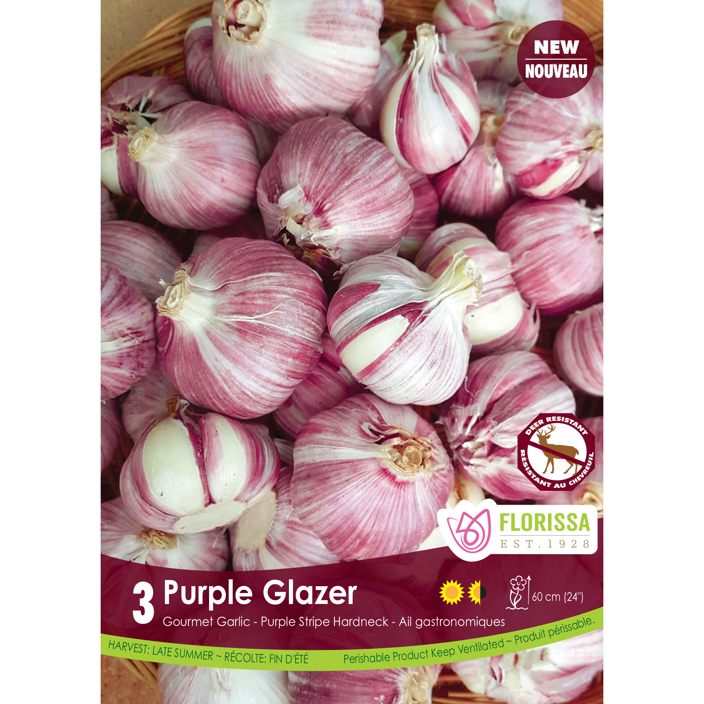 Garlic 'Purple Glazer Tops' Bulbs 3PK