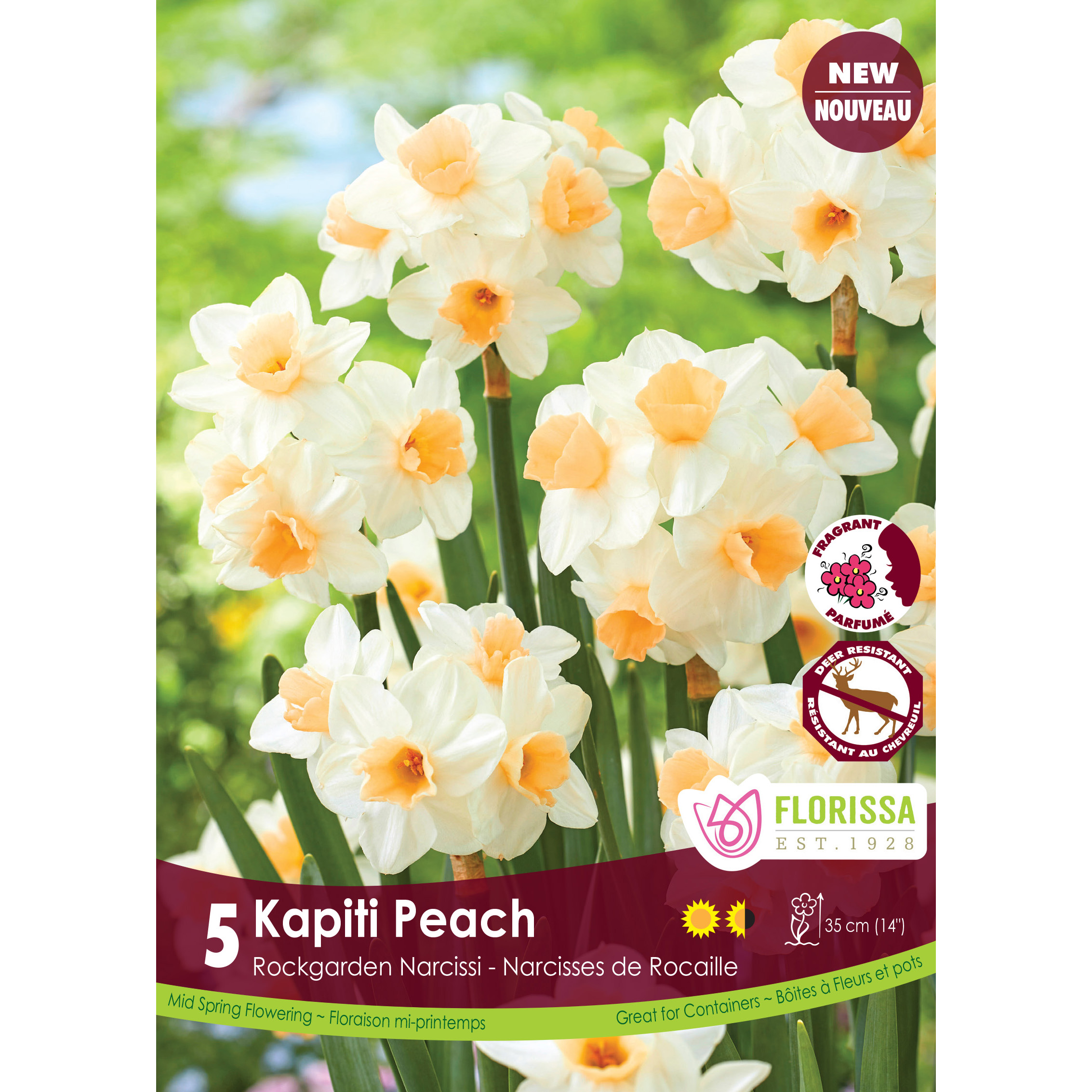 Narcissus 'Kapiti Peach' Bulbs 5PK