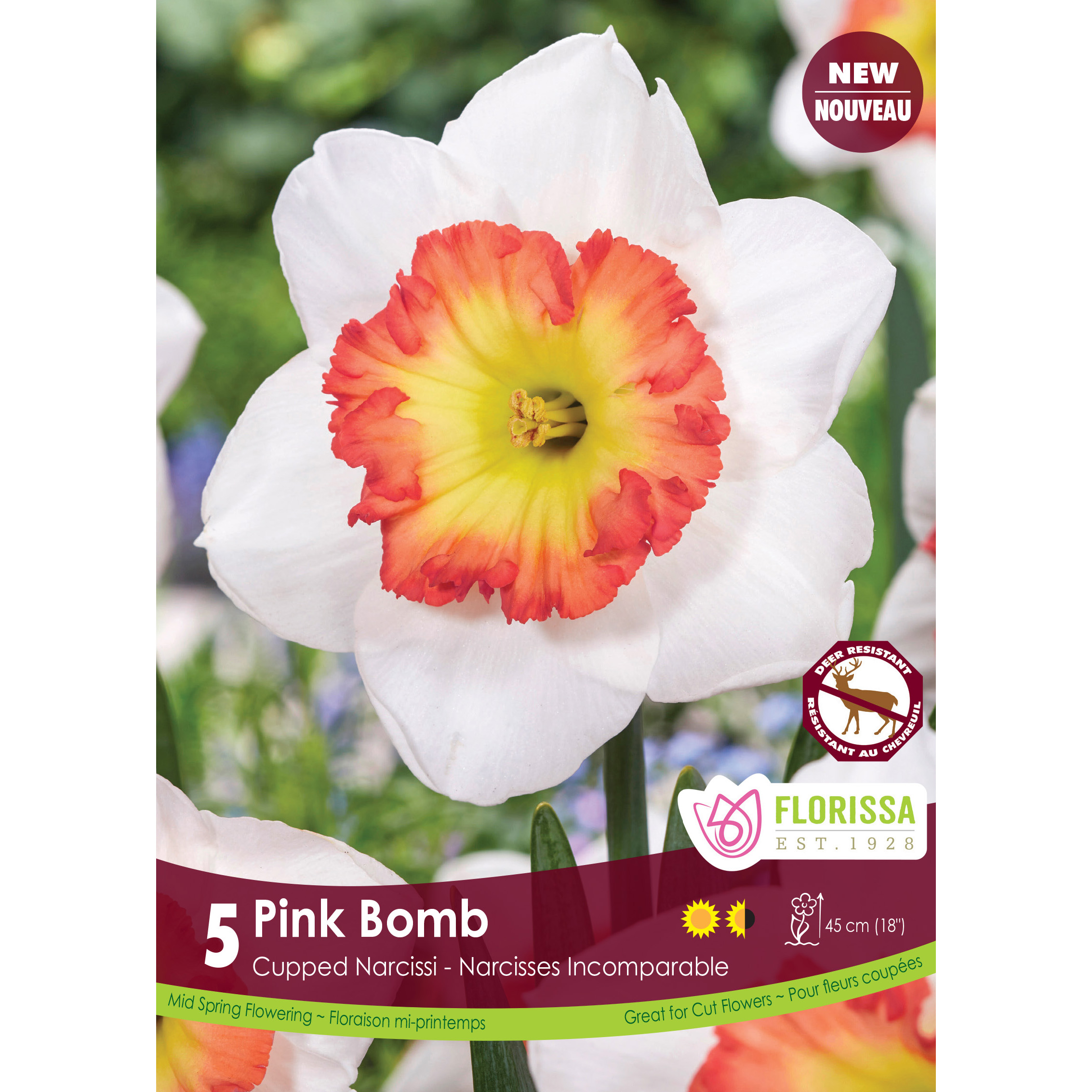 Narcissus 'Pink Bomb' Bulbs 5PK