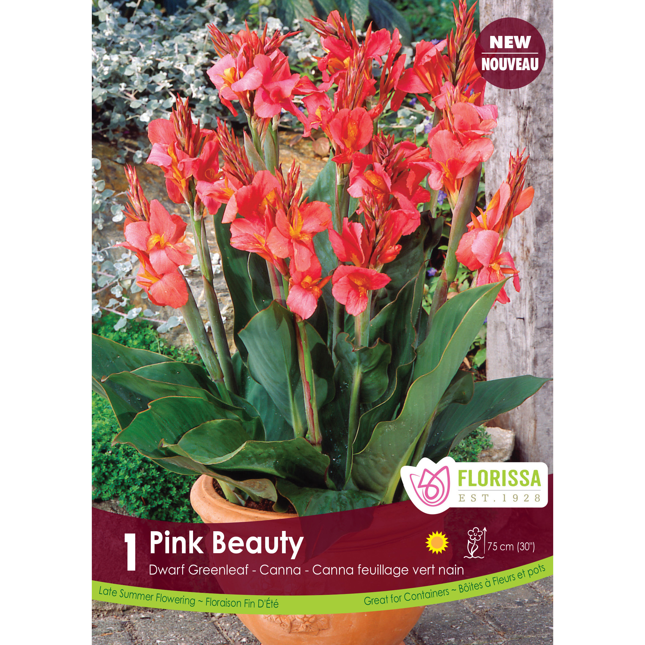 LgKep Canna Pink Beauty_.jpg