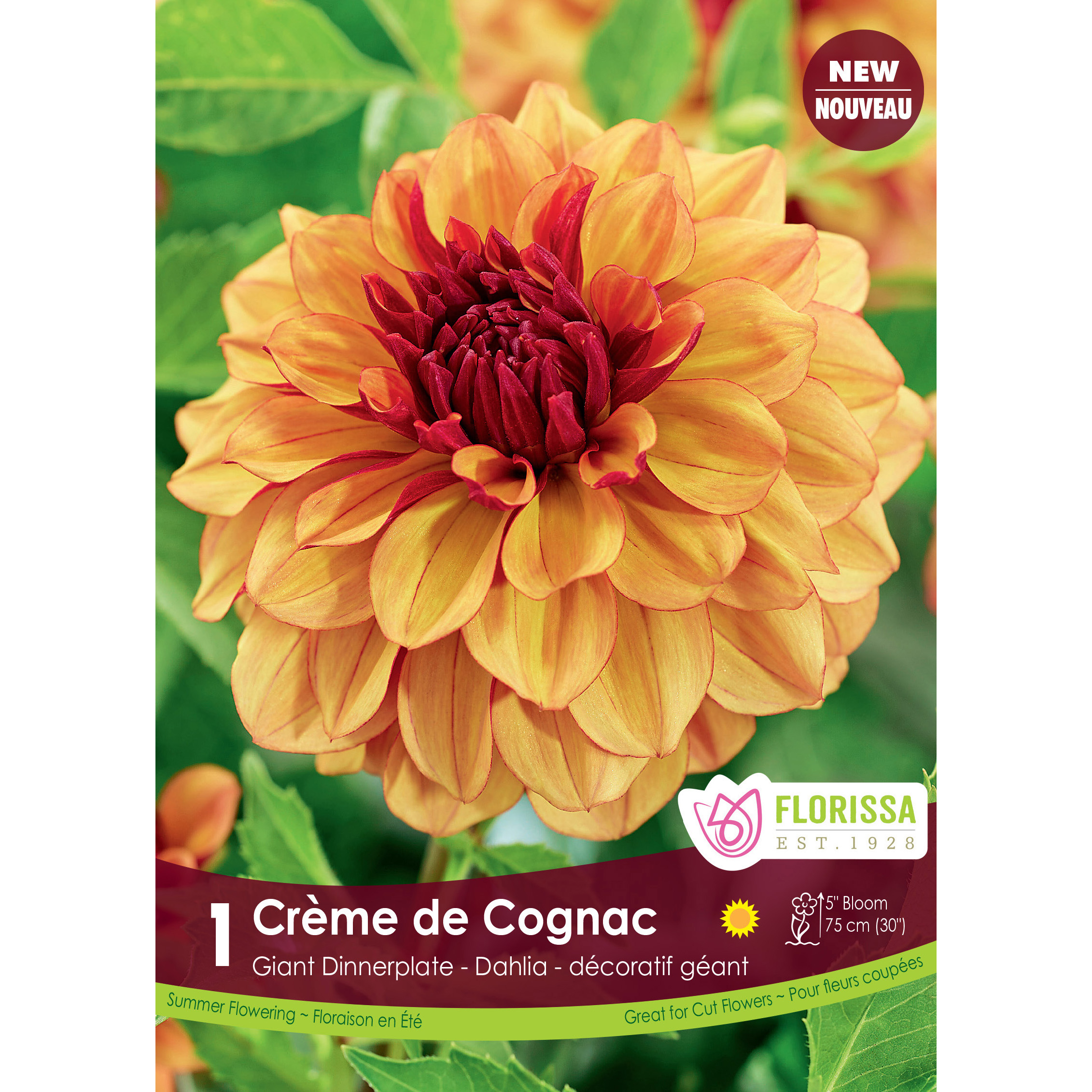 LgKep Dahlia Creme de Cognac.jpg