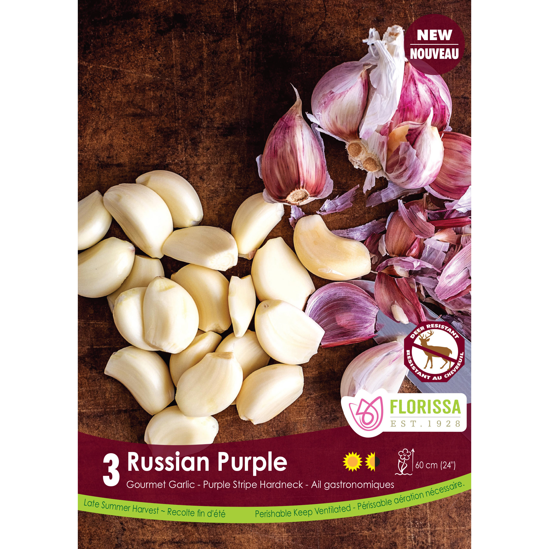 Garlic 'Russian Purple Tops' Bulbs 3PK 