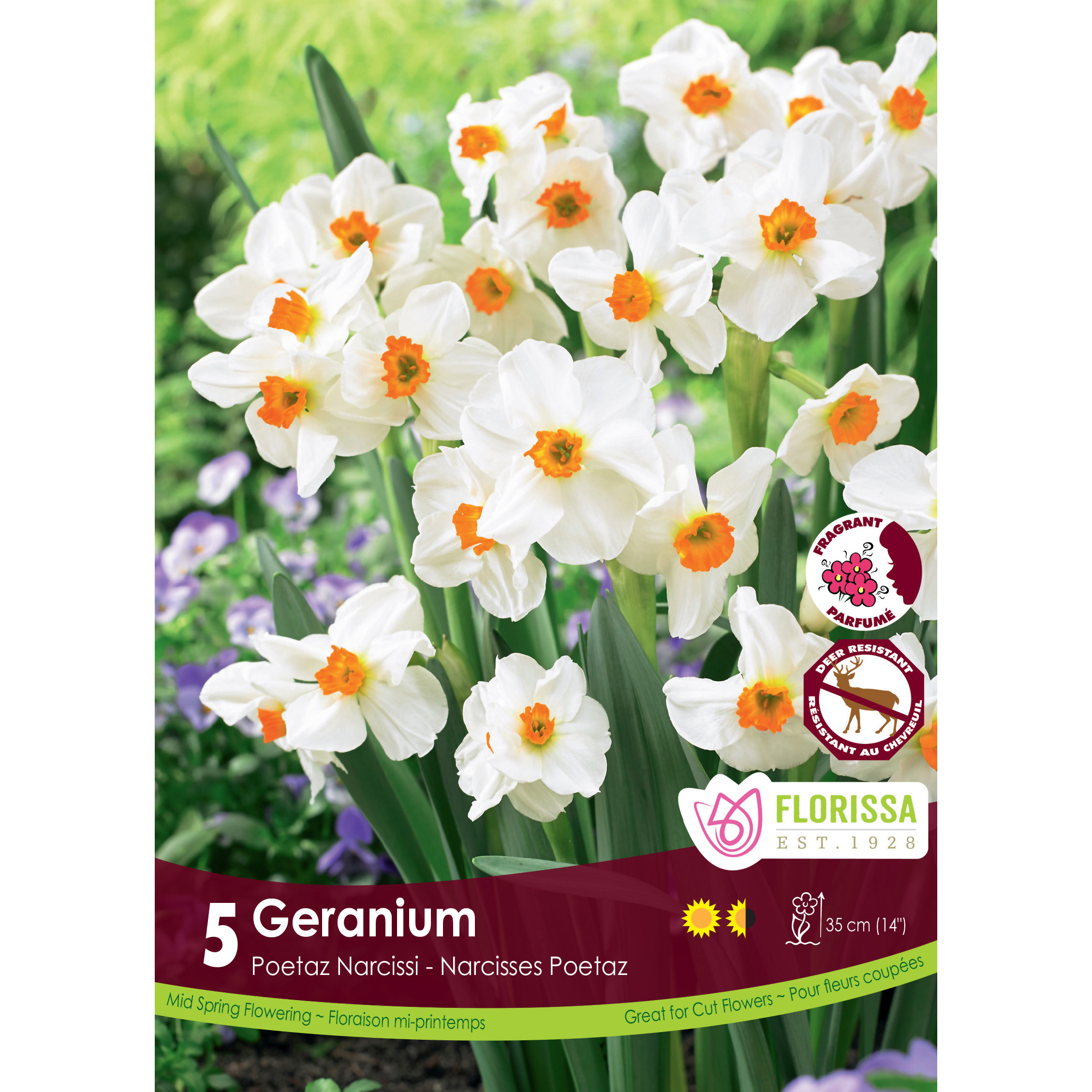 Narcissus 'Geranium' Bulbs 5PK