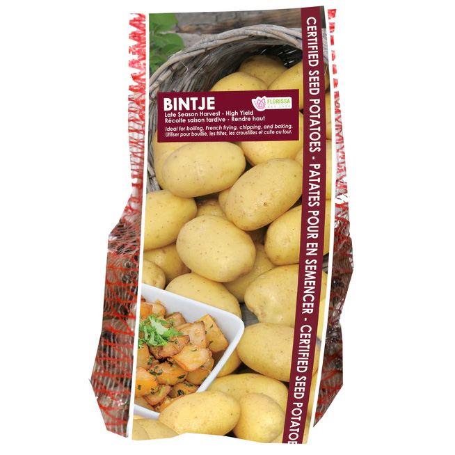 Certified Seed Potatoes Bintje 2kg