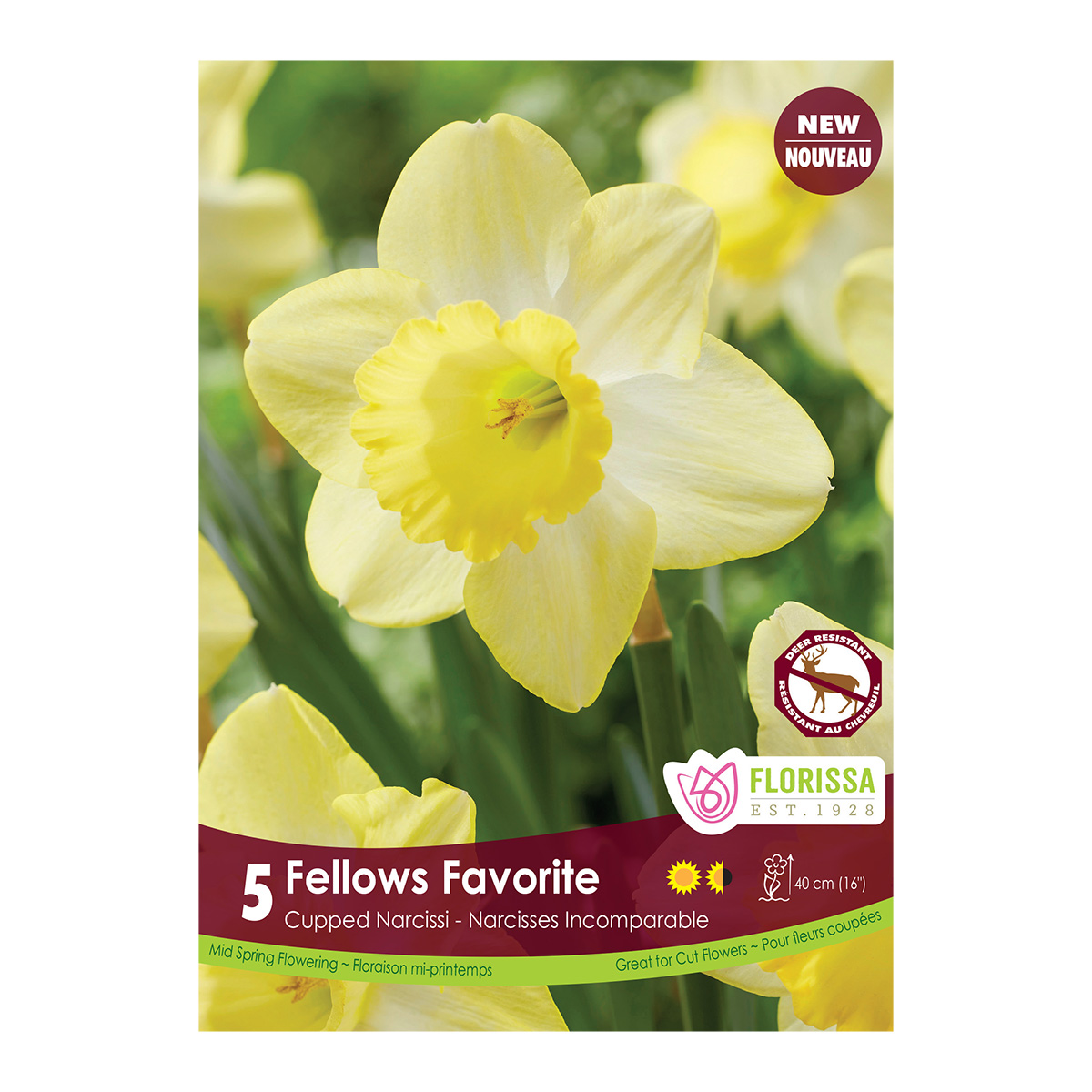 Narcissus 'Fellows Favourite' | Daffodil Bulbs | Arts Nursery Garden ...