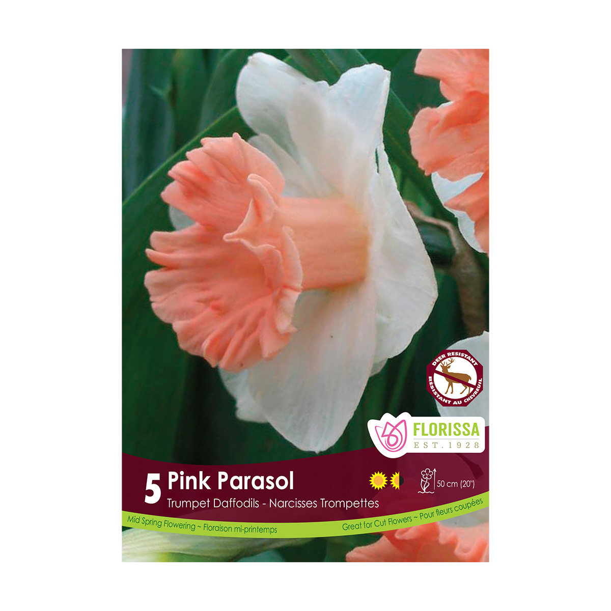 Narcissus_PinkParasol.jpg