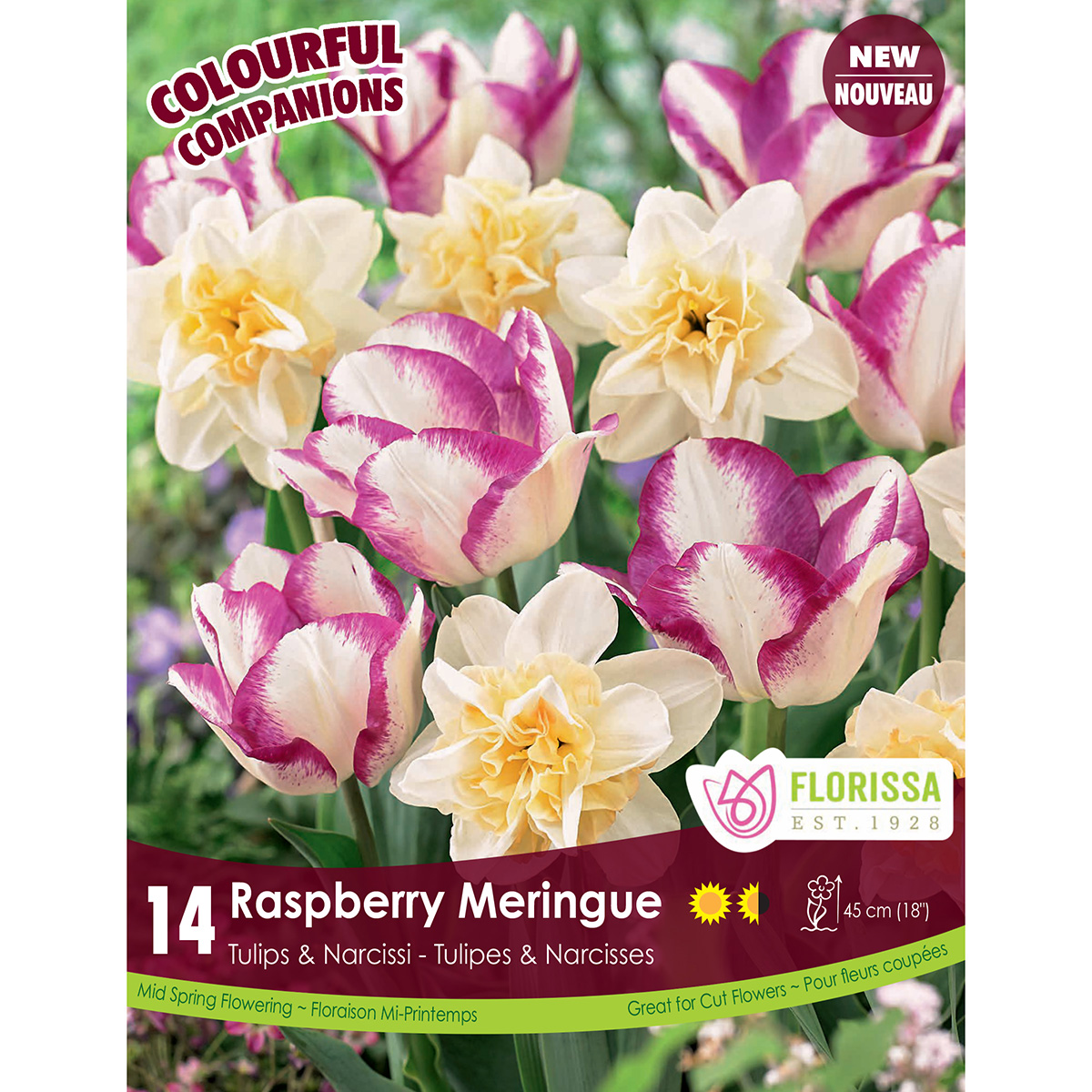 Raspberry_Meringue_1200px.jpg