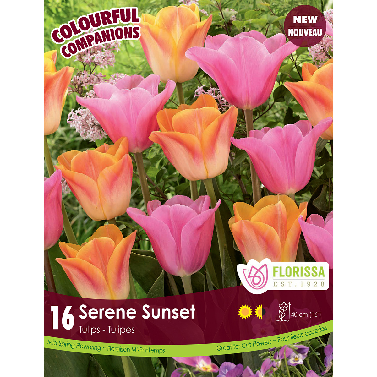 Colourful Companions Tulipa 'Serene Sunset' Bulbs
