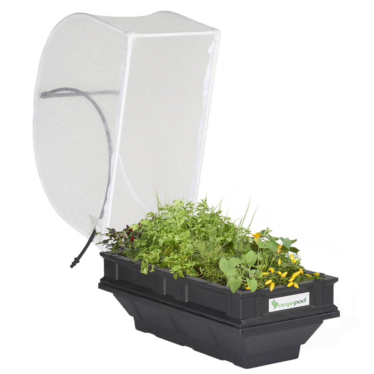 Small_Vegepod_Cover_OPEN_EDIT_1200px.jpg