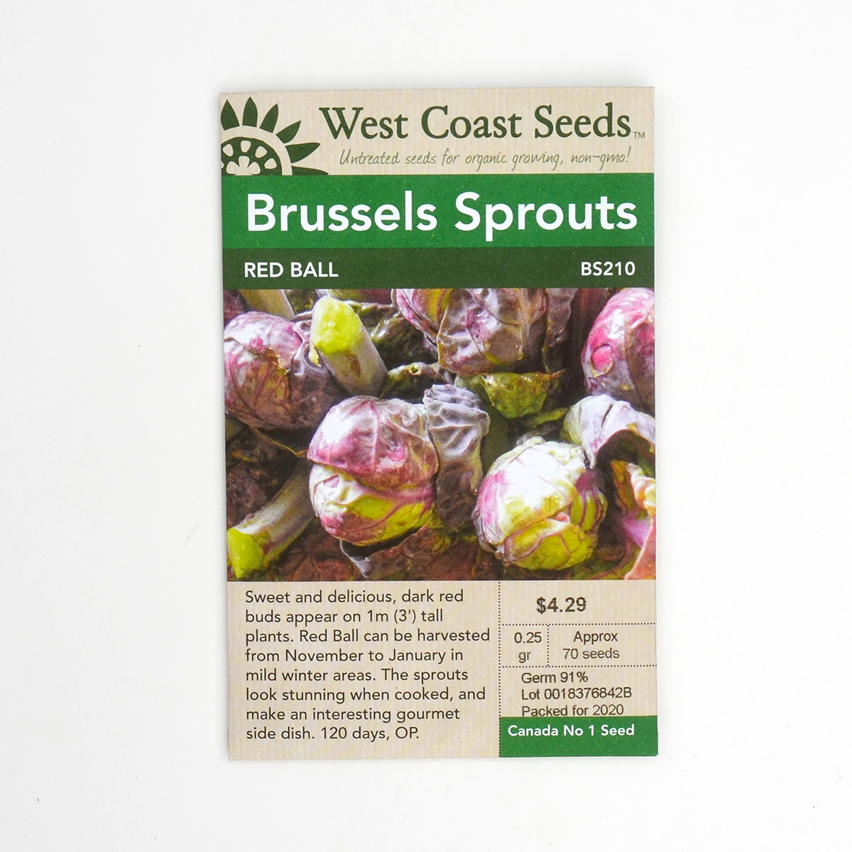 Brussels Sprouts Red Ball Seeds BS210