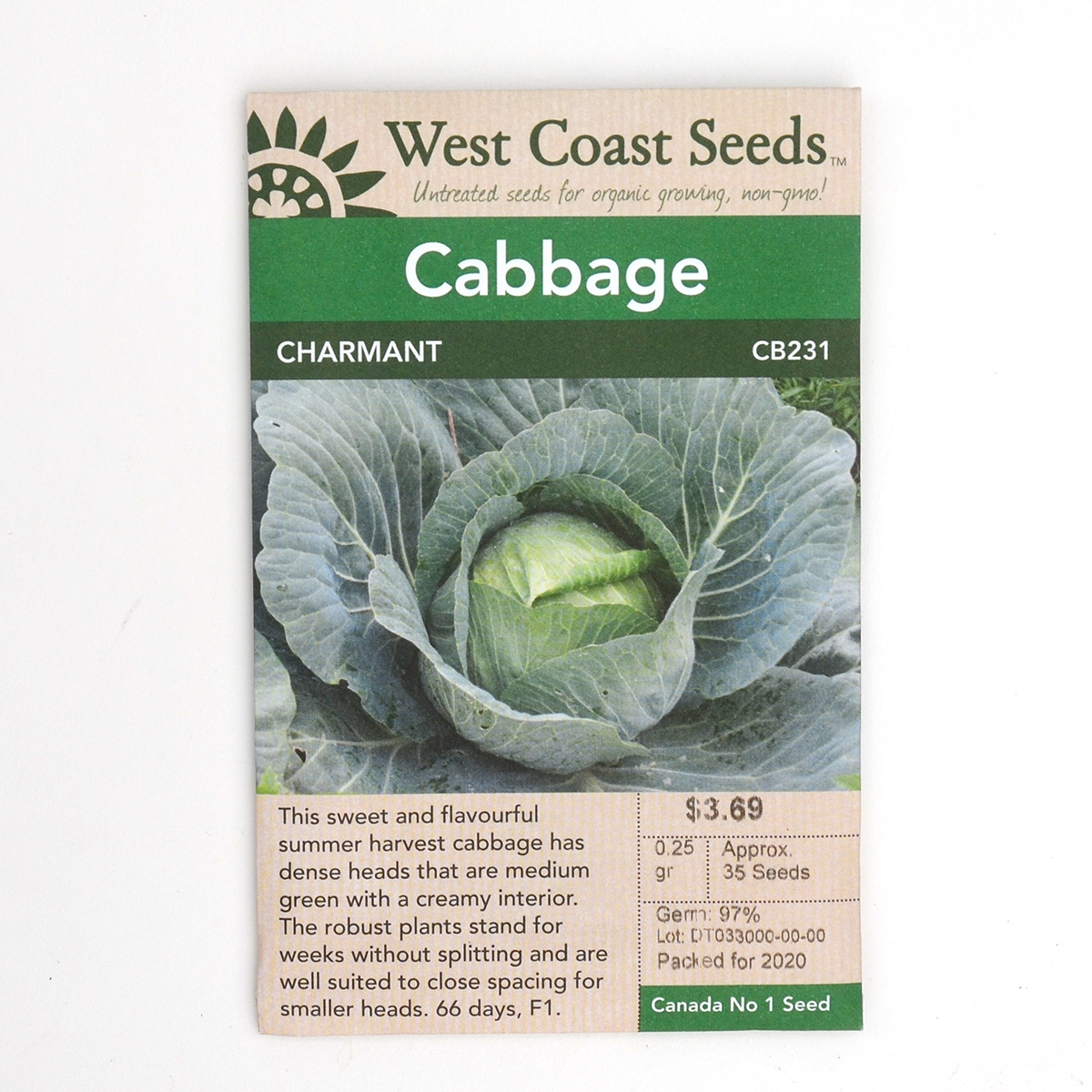 Cabbage Charmant Seeds CB231