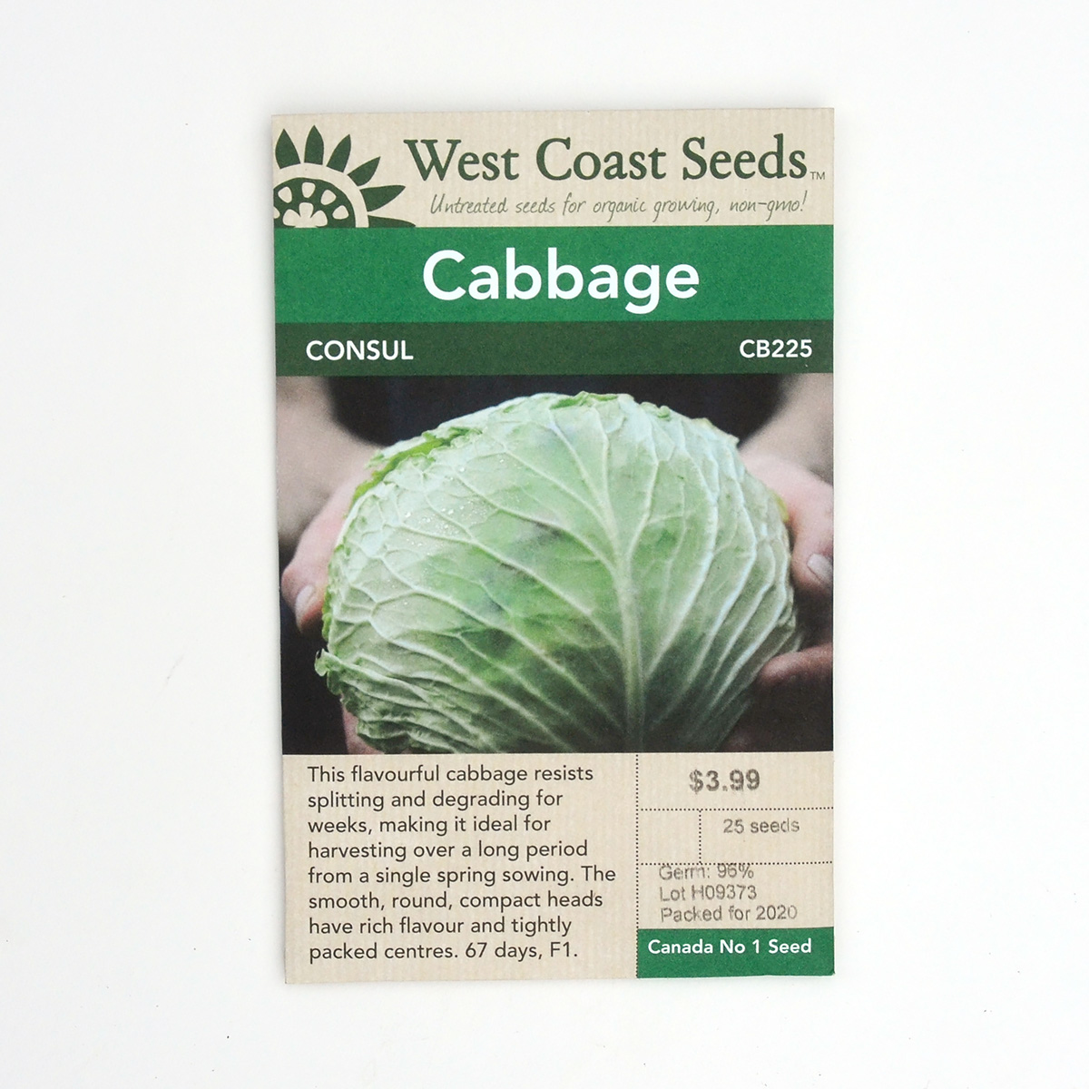 Cabbage Consul Seeds CB225