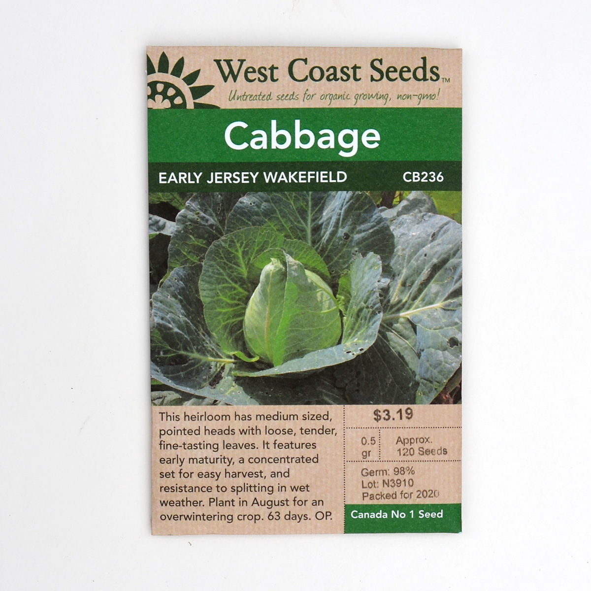 Cabbage Early Jersey Wakefield Seeds CB236