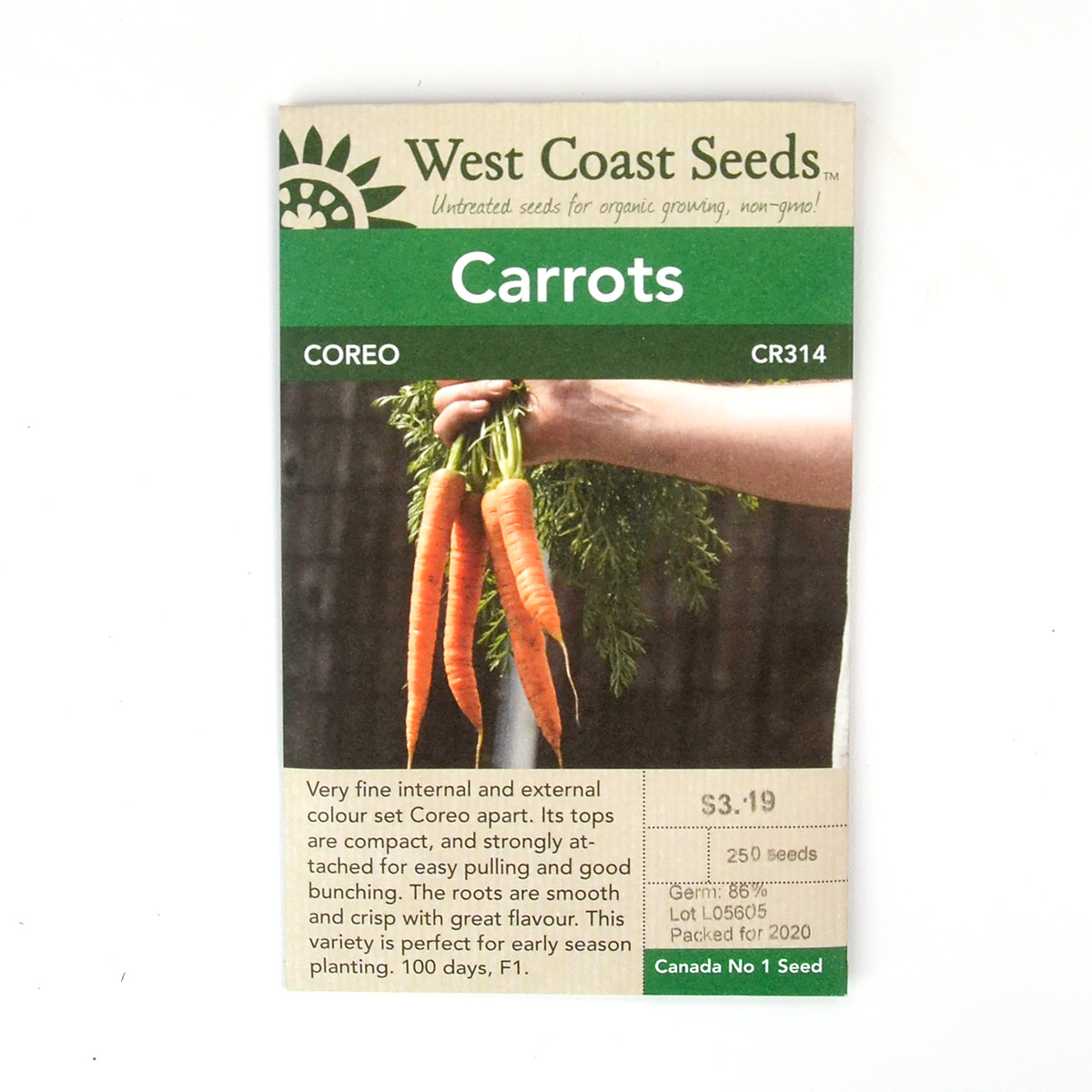 Carrots Coreo Seeds CR314