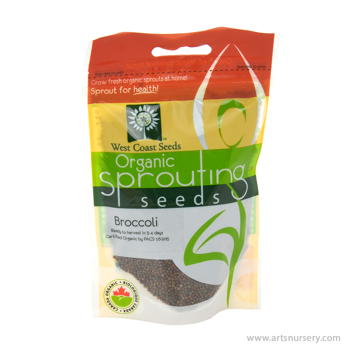 Broccoli Organic Sprouting Seeds Art's Nursery Ltd