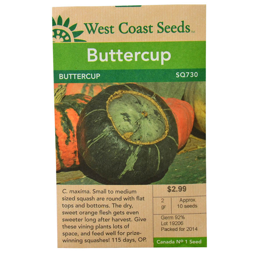 Buttercup Squash Seeds | West Coast Seeds | Art's Nursery Ltd