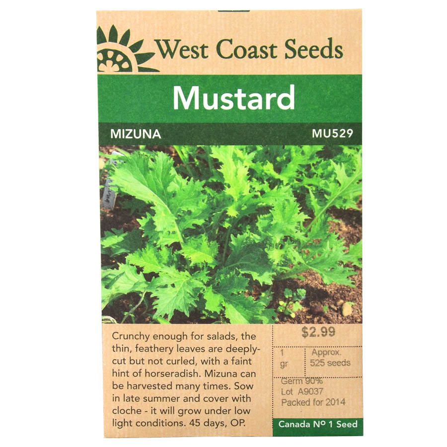 Mizuna Mustard Seeds West Coast Seeds Art's Nursery Ltd