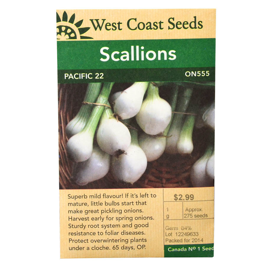 Scallions Pacific 22 Seeds | West Coast Seeds | Art's Nursery Ltd