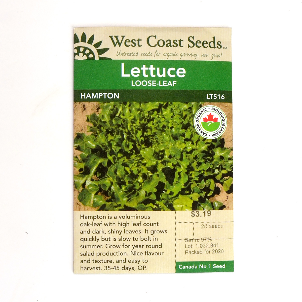 Lettuce Losse-Leaf Hampton Seeds LT516
