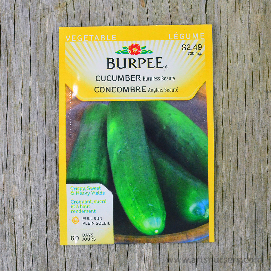 Burpless Beauty Cucumber Seeds Burpee Arts Nursery Ltd