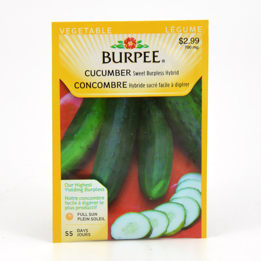 Burpee Sweet Burpless Hybrid Cucumber Seeds Art S Nursery Ltd