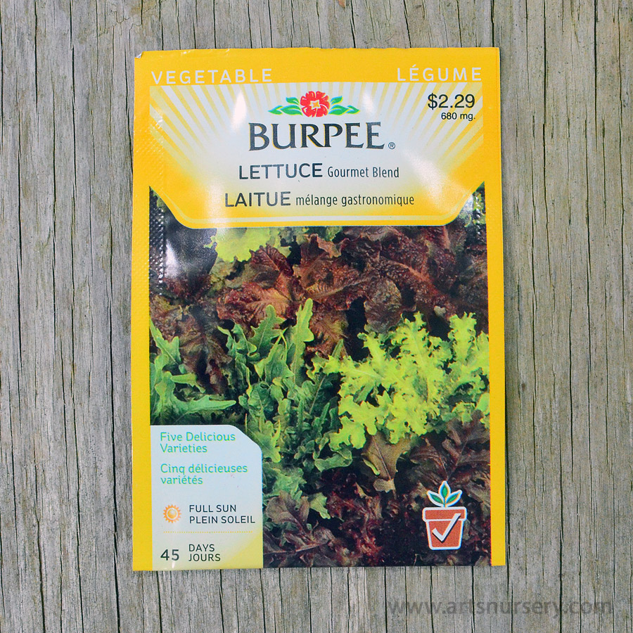 Gourmet Blend Lettuce Seeds Burpee | Arts Nursery Ltd