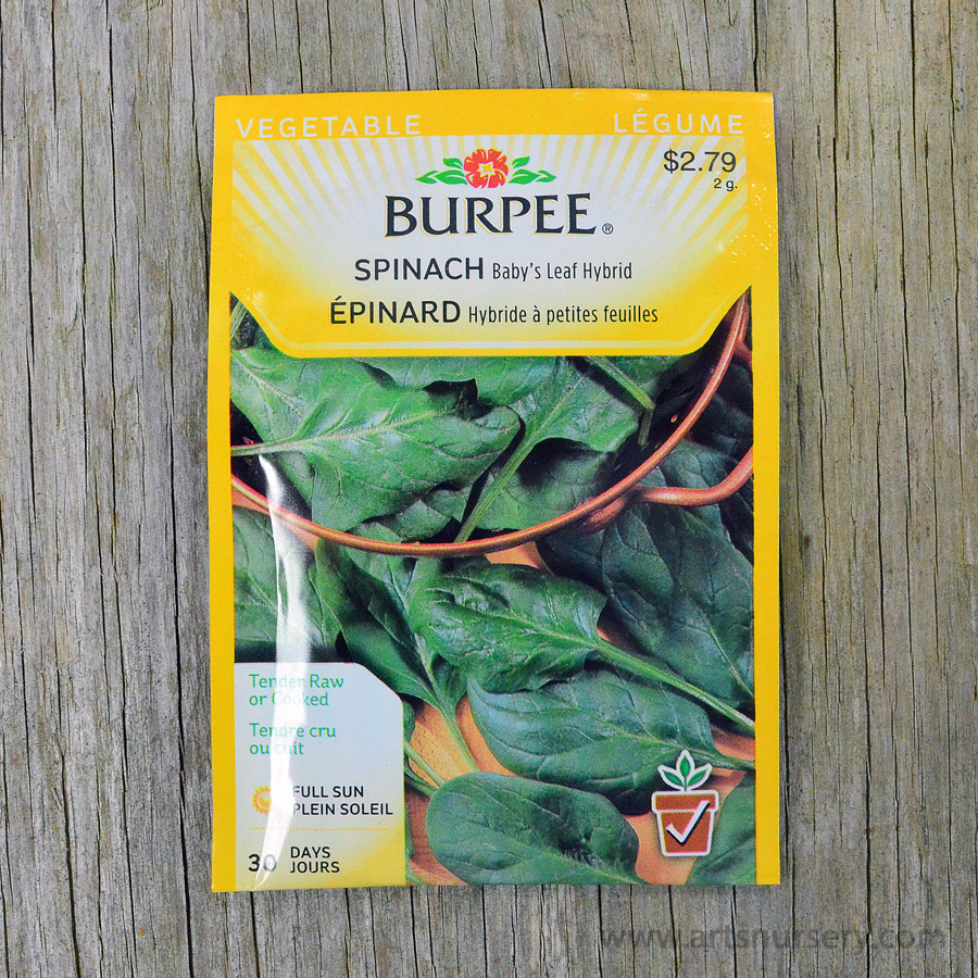 Baby Leafs Hybrid Spinach Seeds Burpee | Art's Nursery Ltd