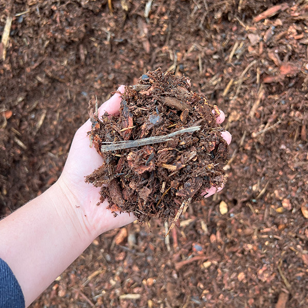 red_mulch_2025_new.jpg