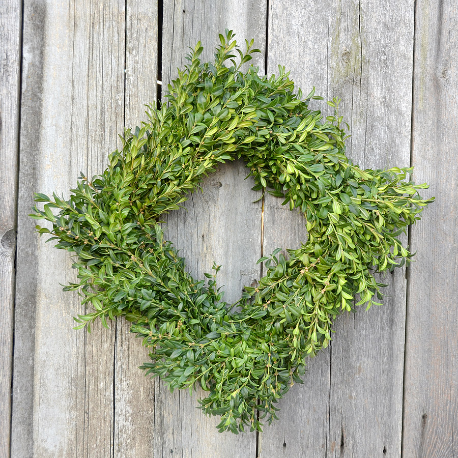 12 Inch Square Boxwood Wreath